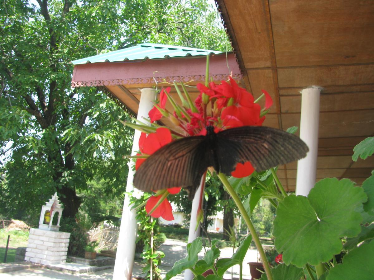 Tatva Bir Tents And Hotel Kangar Luaran gambar